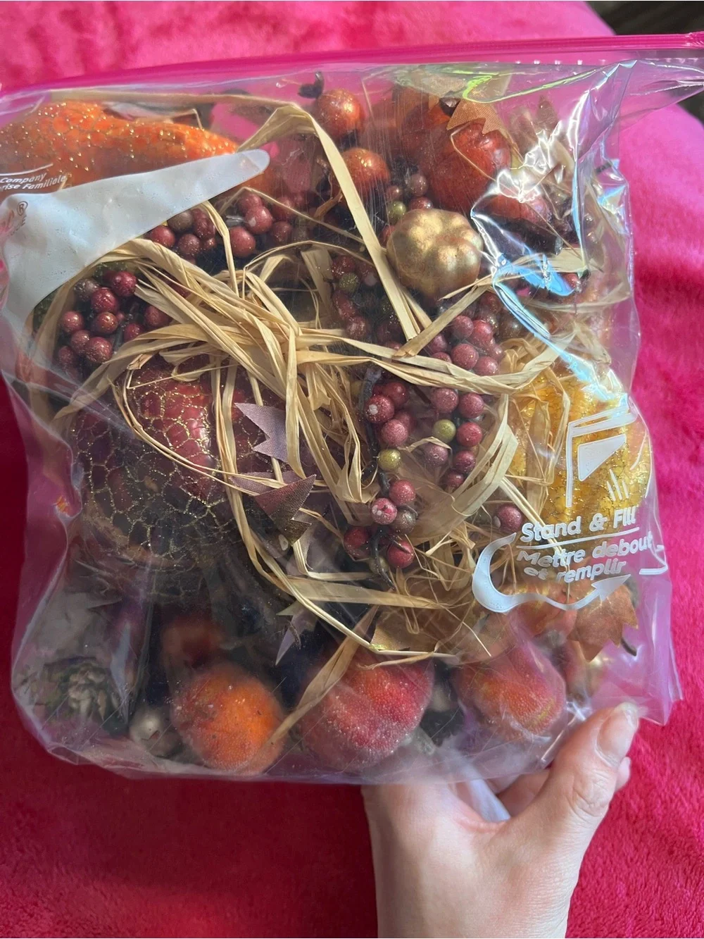 Bag of Decorative Gourds, Pumpkins, Acorns, Pinecones, etc